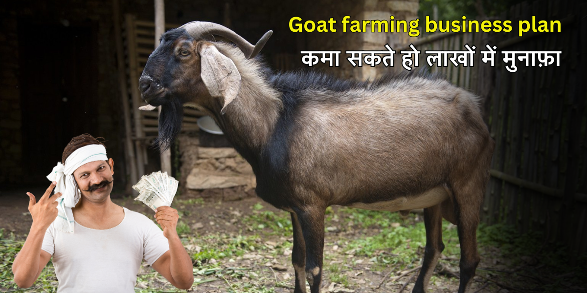 Goat farming business plan