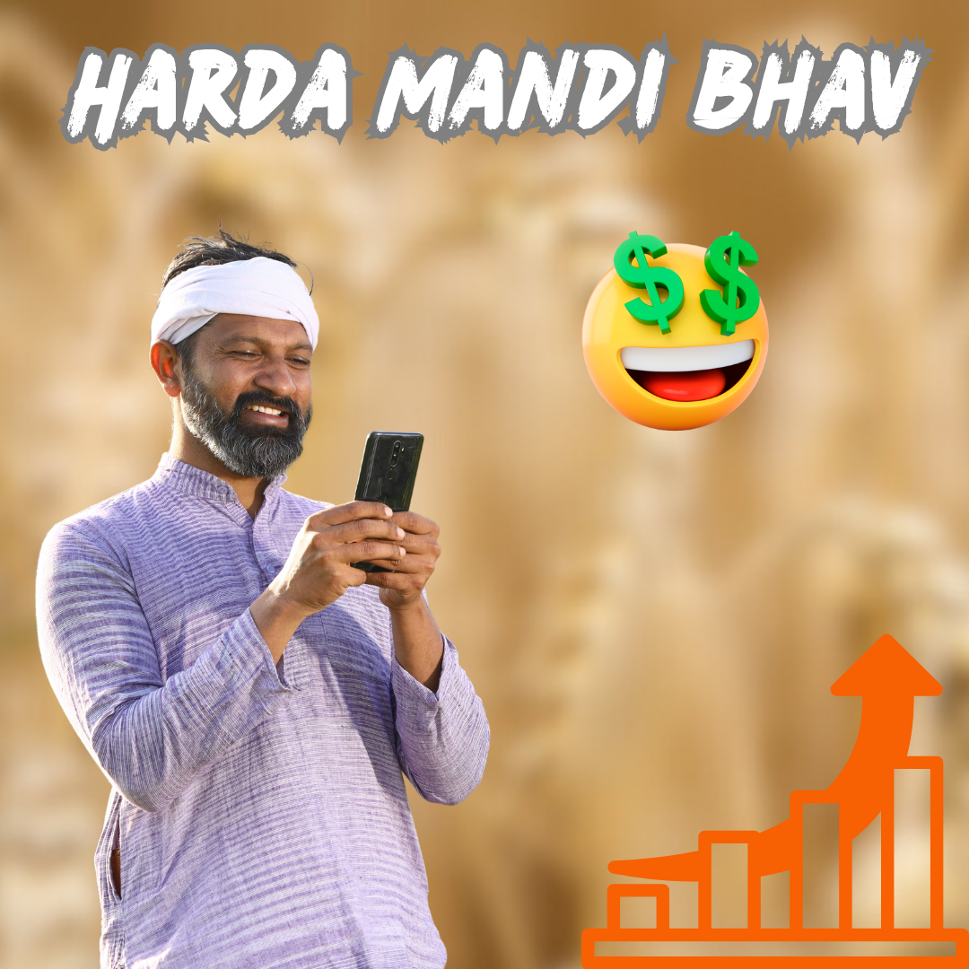 today harda mandi bhav