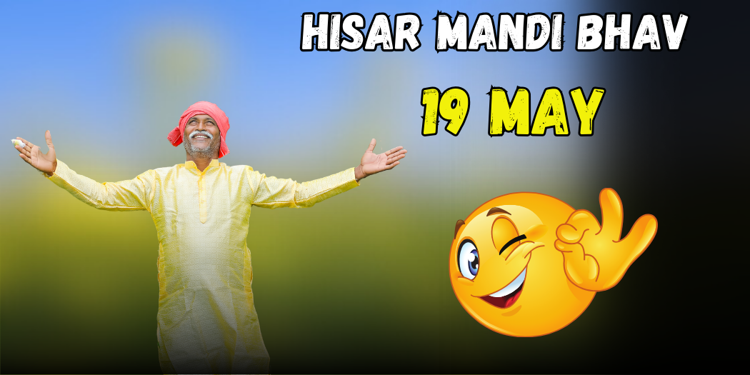 Hisar Mandi Bhav 19 May