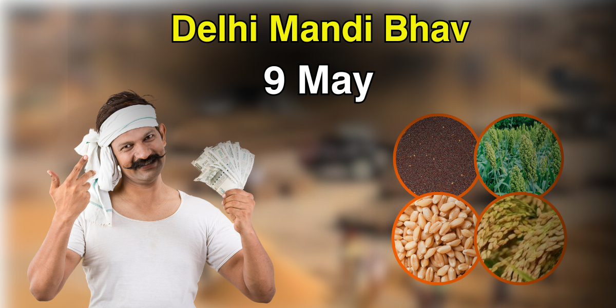Delhi Mandi Bhav 9 May