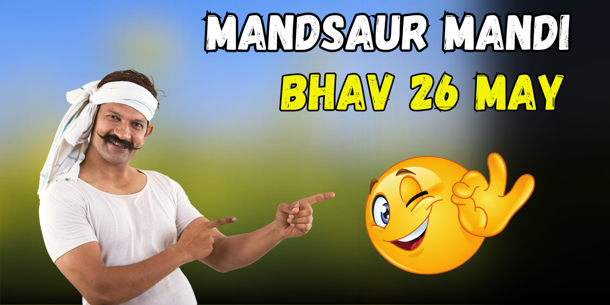 Mandsaur Mandi Bhav 26 May