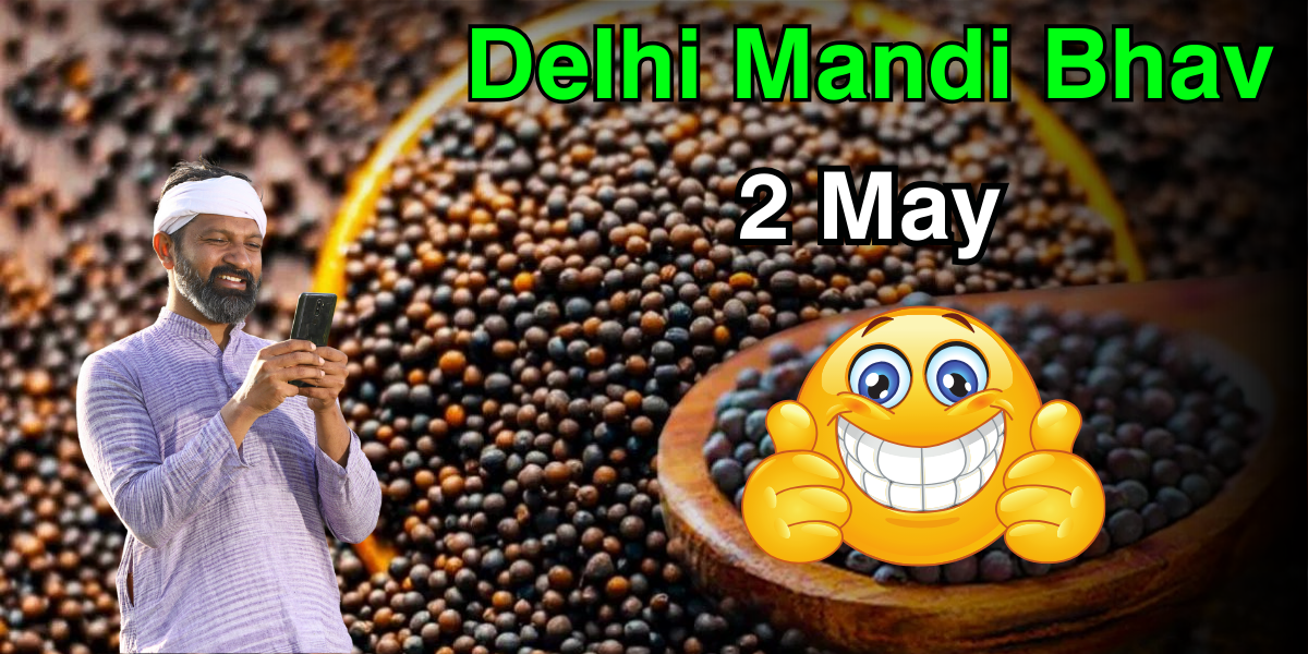 Delhi Mandi Bhav 2 may