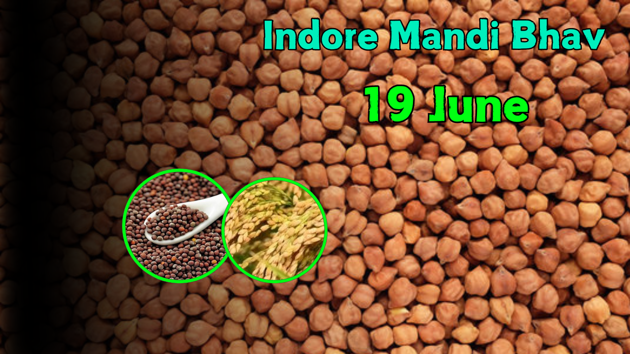 Indore Mandi Bhav 19 June