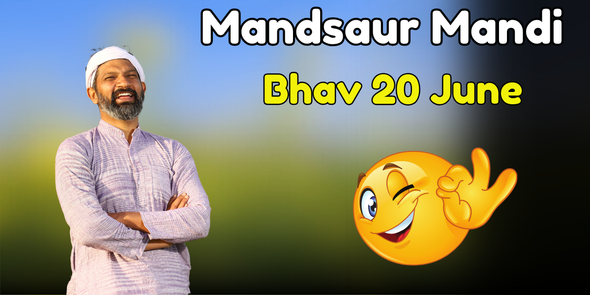 Mandsaur Mandi Bhav 20 June