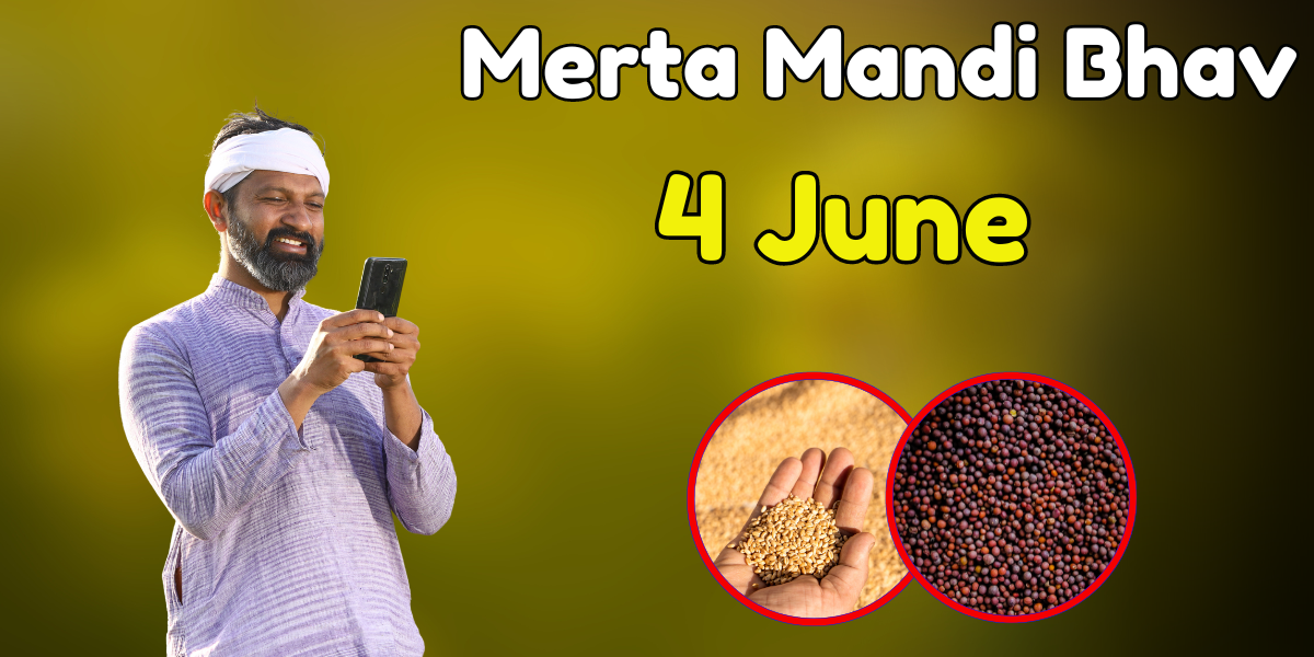 Merta Mandi Bhav 4 June