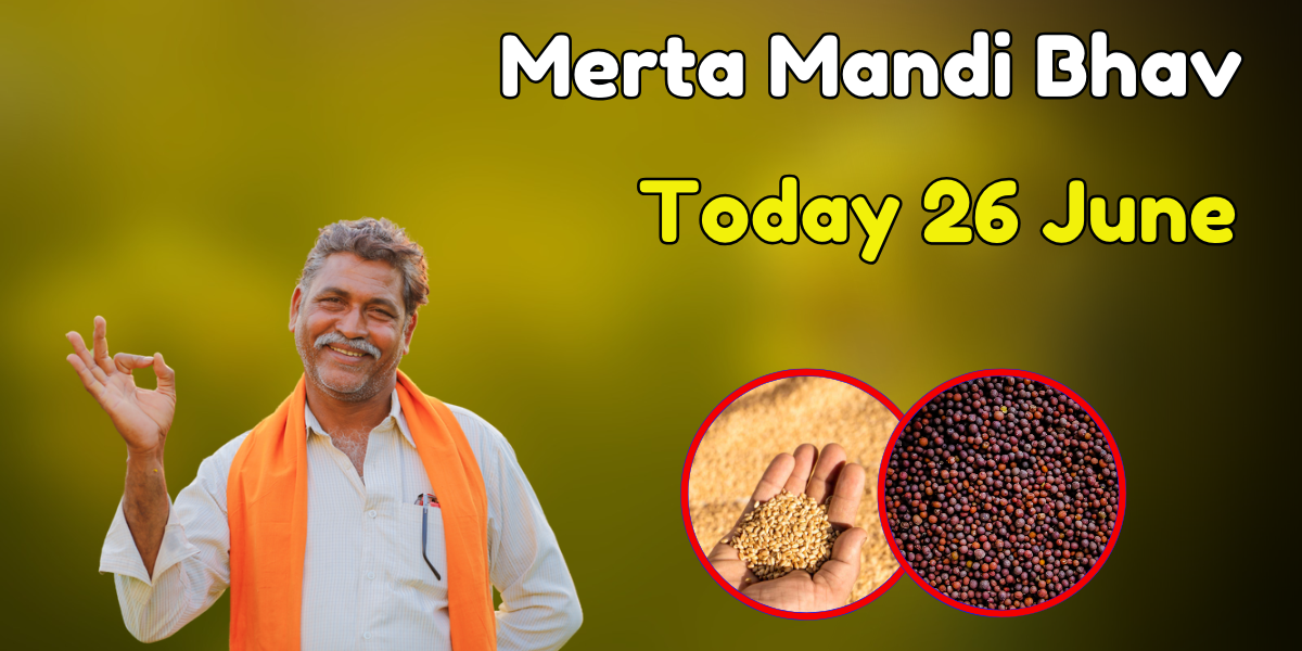 Merta Mandi Bhav Today 26 June
