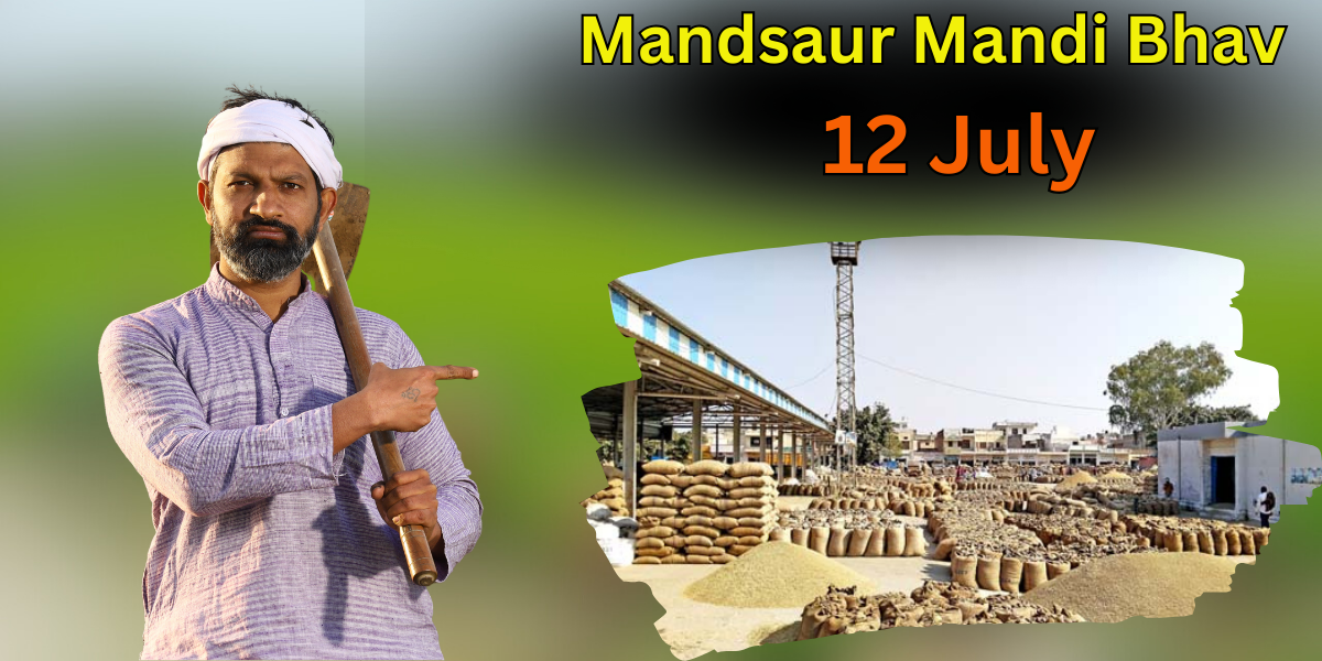 Mandsaur Mandi Bhav 12 July