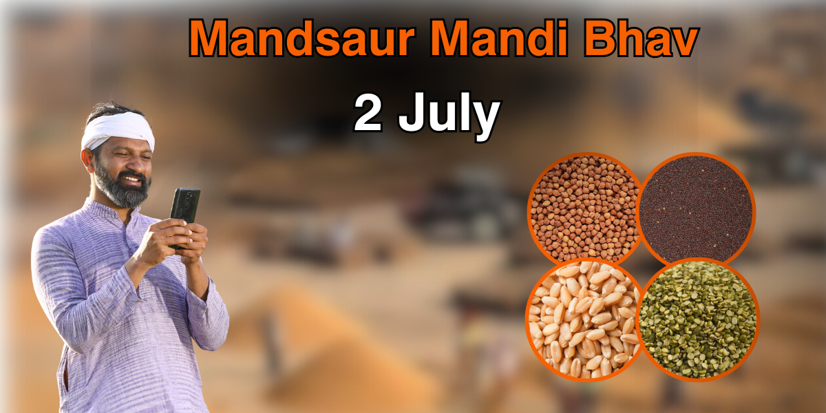 Mandsaur Mandi Bhav 2 July