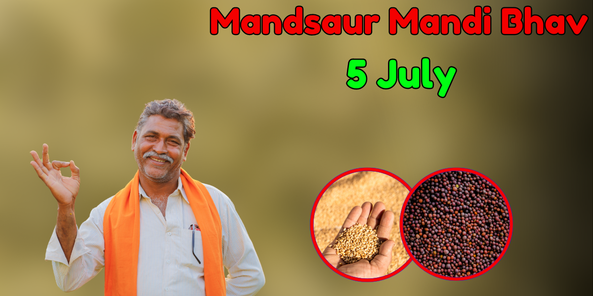 Mandsaur Mandi Bhav 5 July