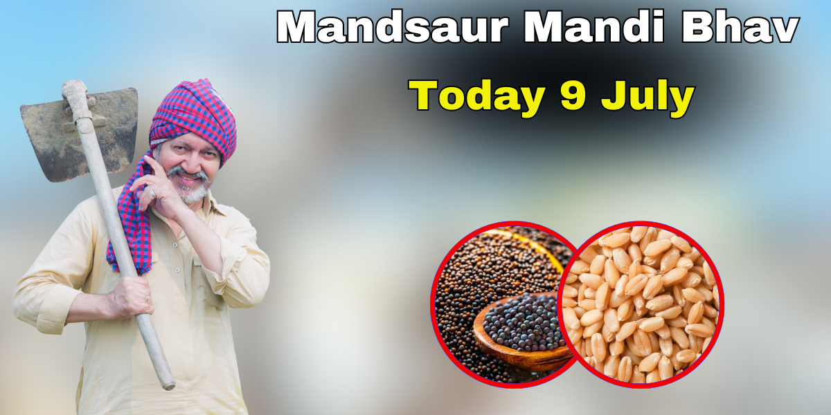 Mandsaur Mandi Bhav Today 9 July