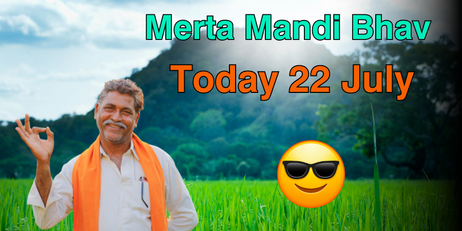 Merta Mandi Bhav Today 22 July