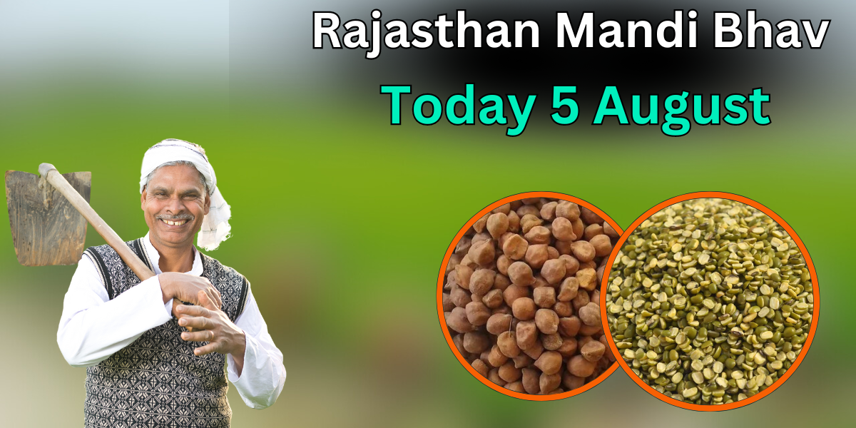 Rajasthan Mandi Bhav Today 5 August